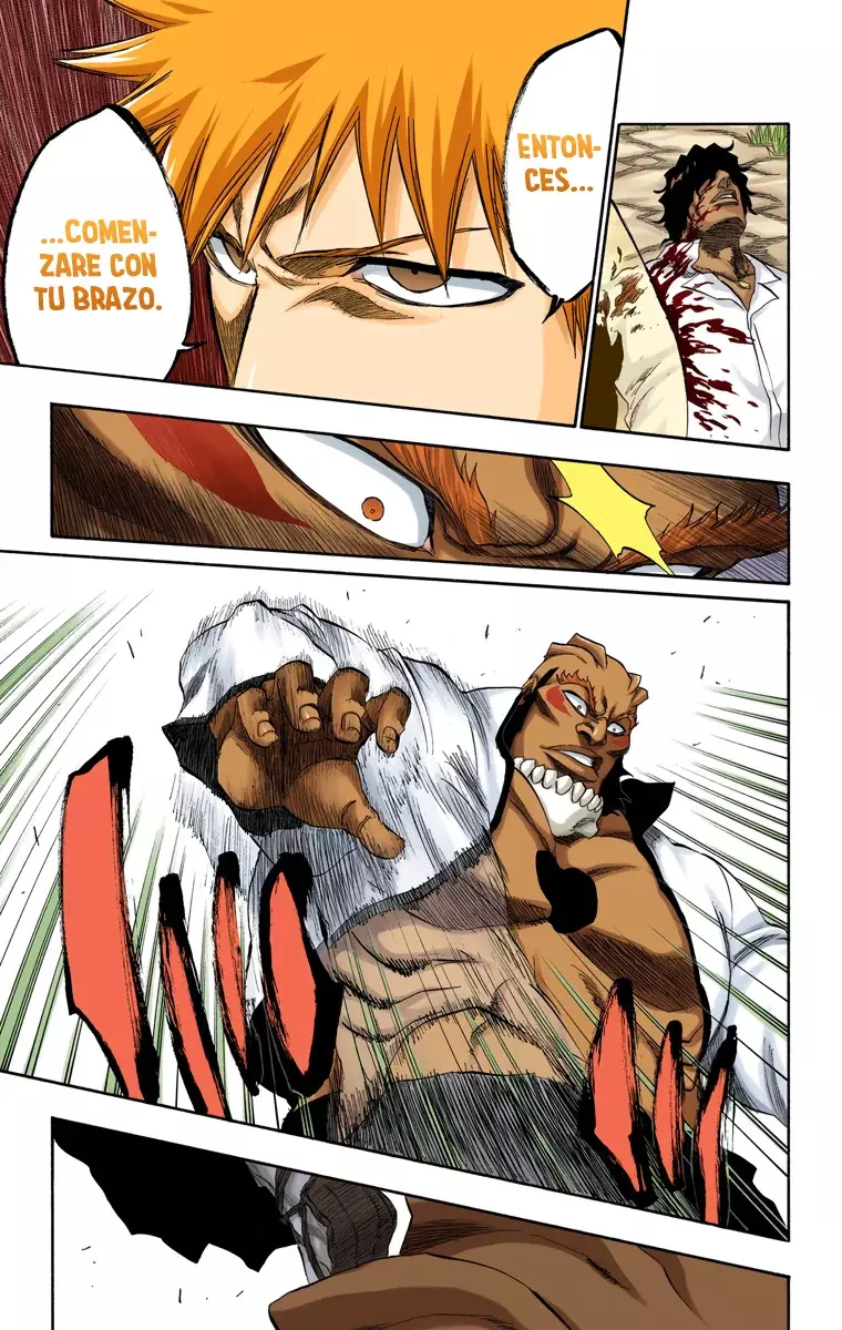 Read Bleach Full Color ES Manga Online