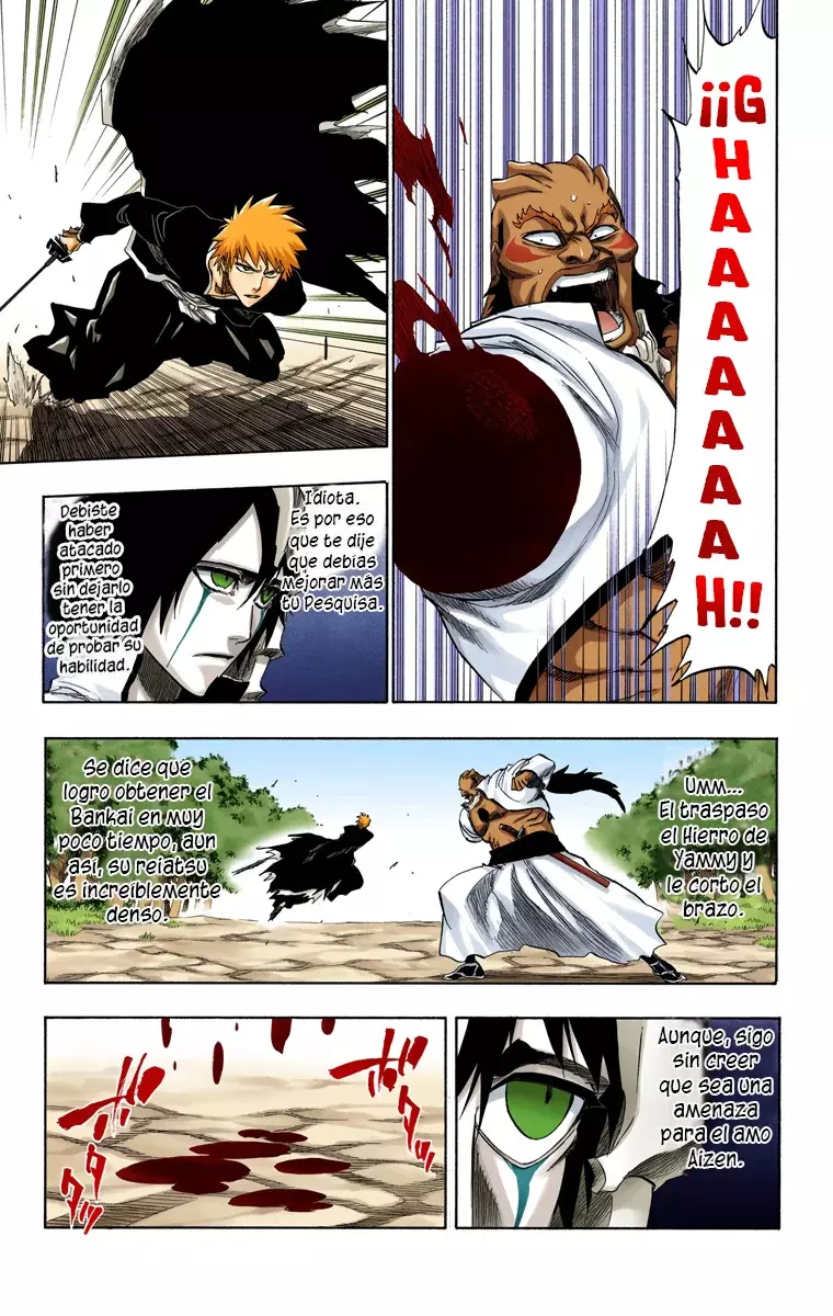 Read Bleach Full Color ES Manga Online
