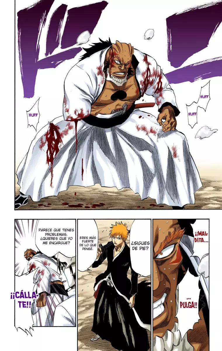 Read Bleach Full Color ES Manga Online