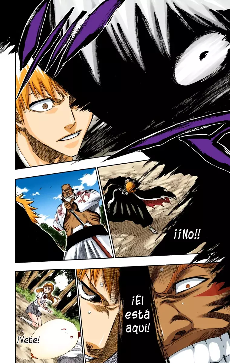 Read Bleach Full Color ES Manga Online