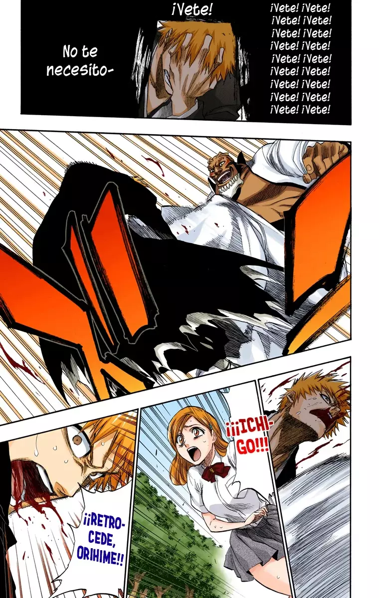Read Bleach Full Color ES Manga Online