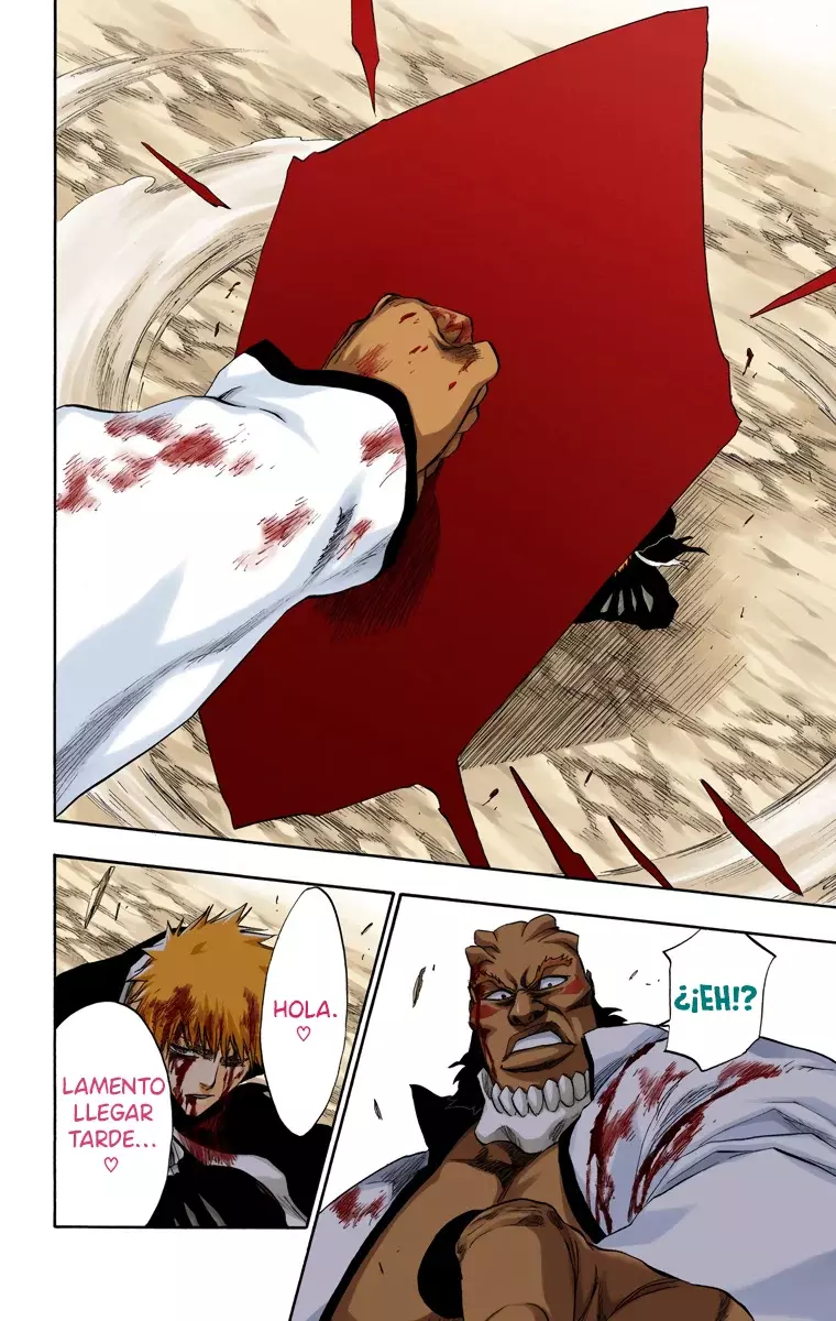 Read Bleach Full Color ES Manga Online