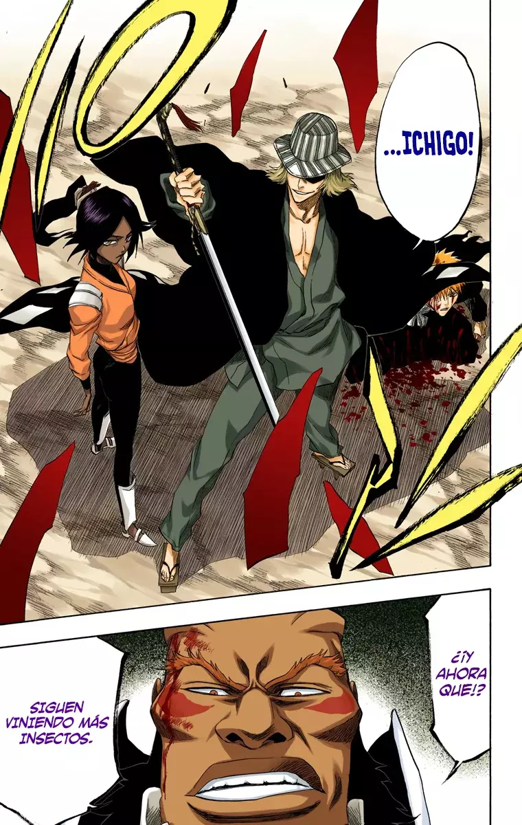 Read Bleach Full Color ES Manga Online