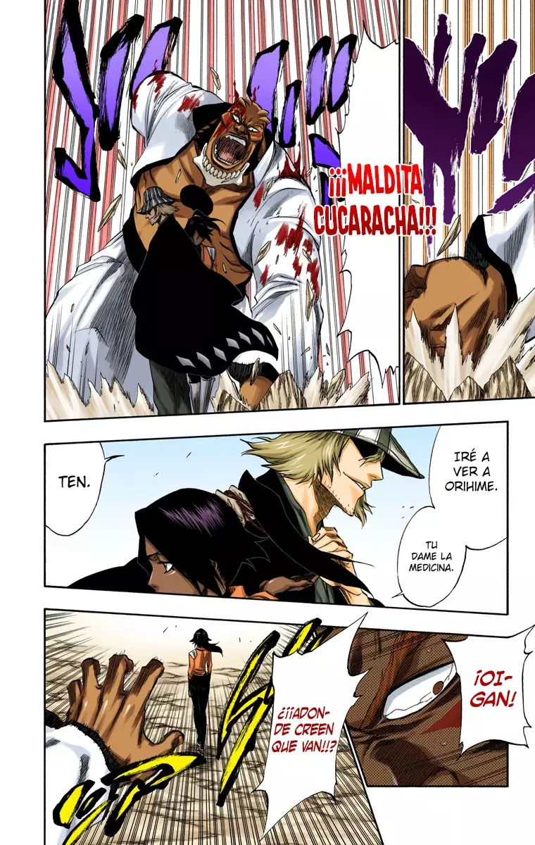 Read Bleach Full Color ES Manga Online