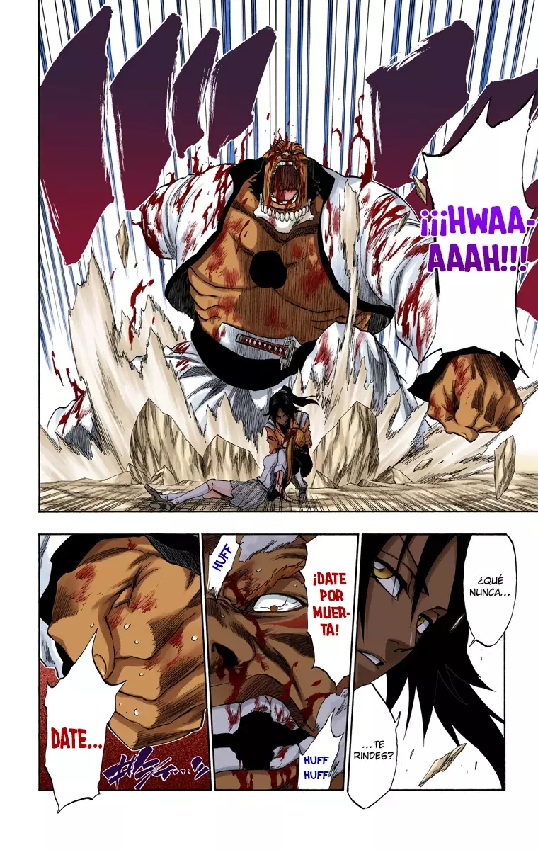 Read Bleach Full Color ES Manga Online
