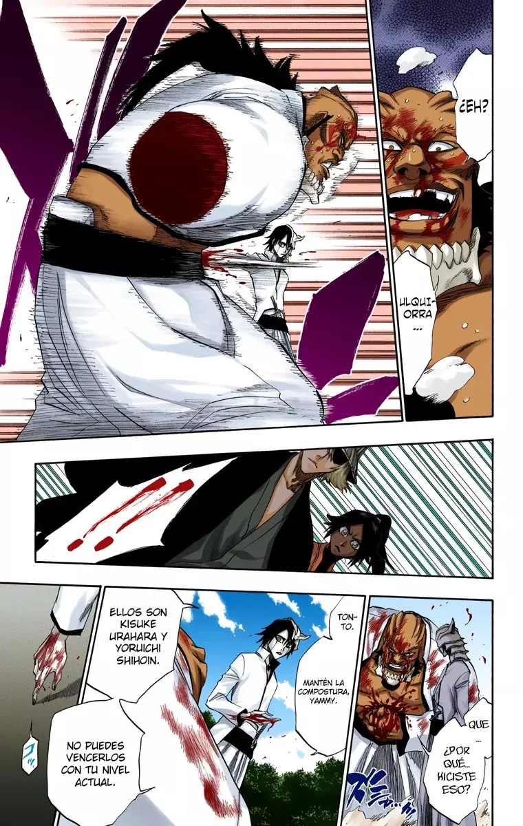 Read Bleach Full Color ES Manga Online
