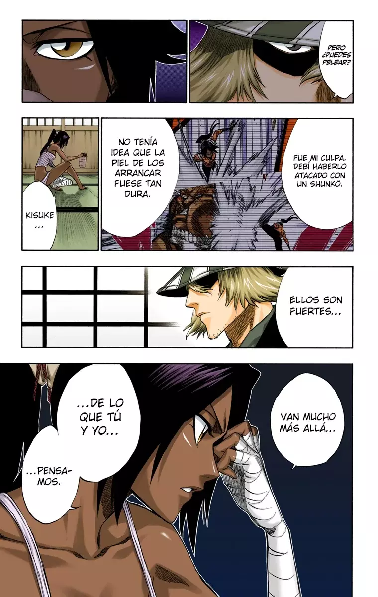 Read Bleach Full Color ES Manga Online