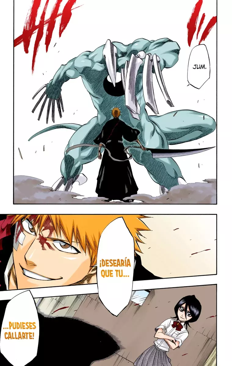 Read Bleach Full Color ES Manga Online