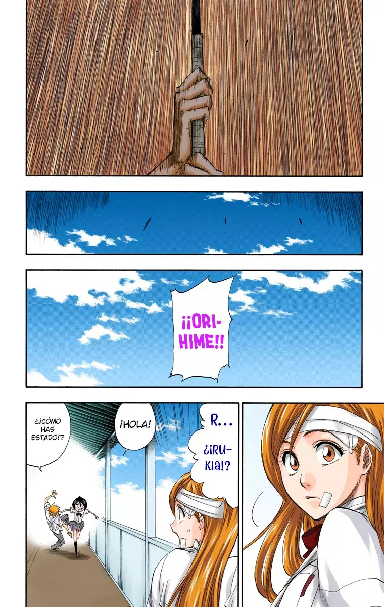 Read Bleach Full Color ES Manga Online