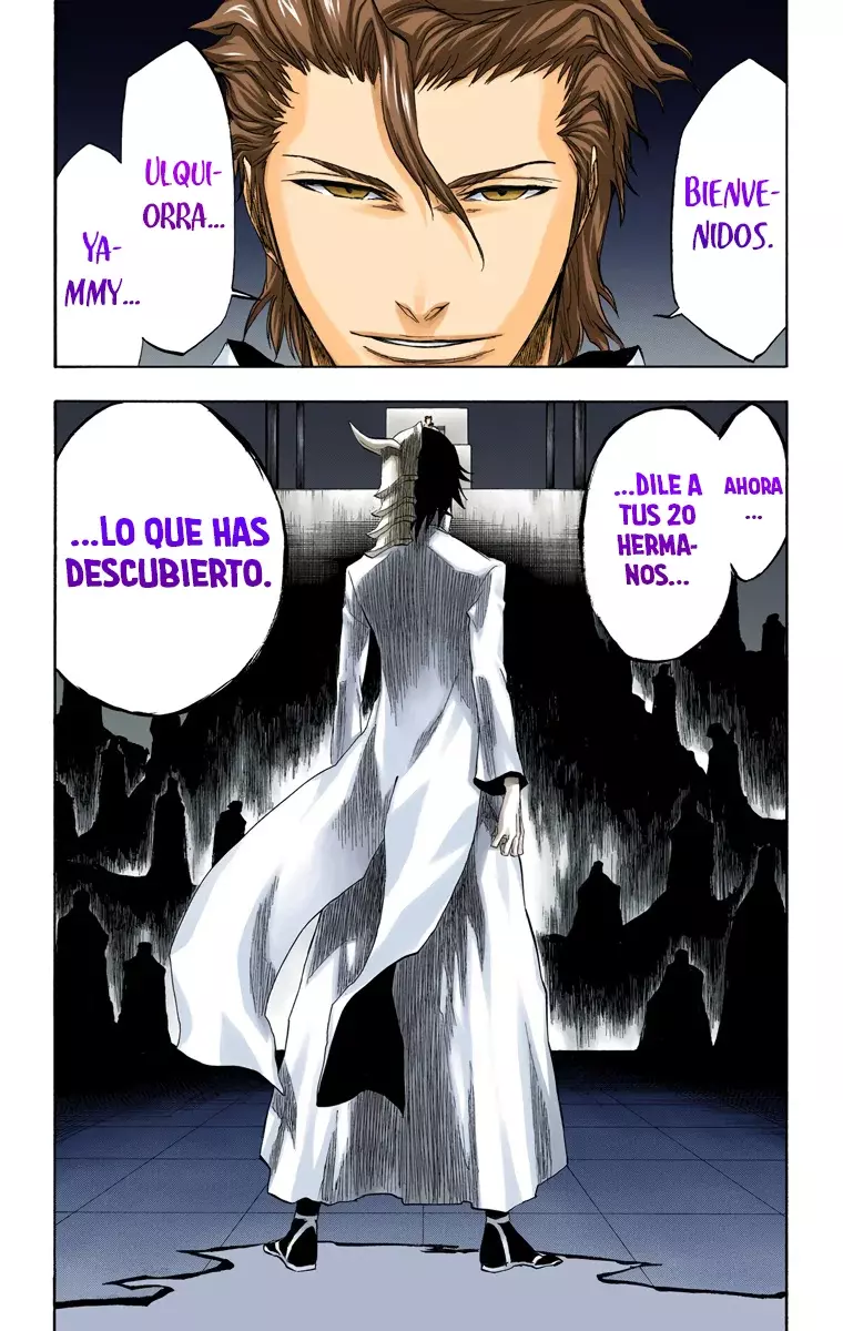 Read Bleach Full Color ES Manga Online