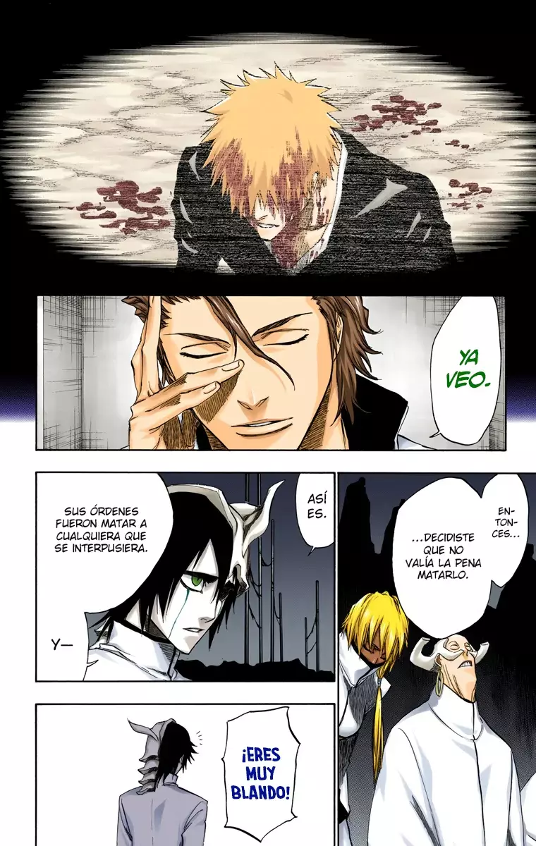 Read Bleach Full Color ES Manga Online