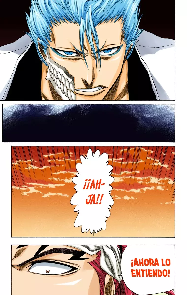 Read Bleach Full Color ES Manga Online