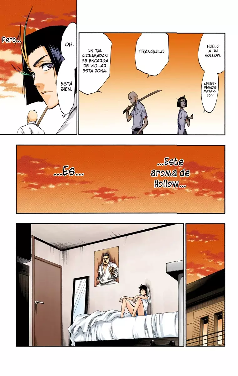 Read Bleach Full Color ES Manga Online