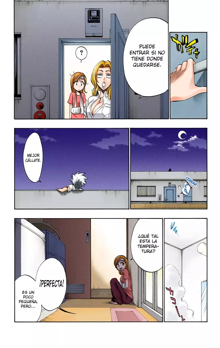 Read Bleach Full Color ES Manga Online