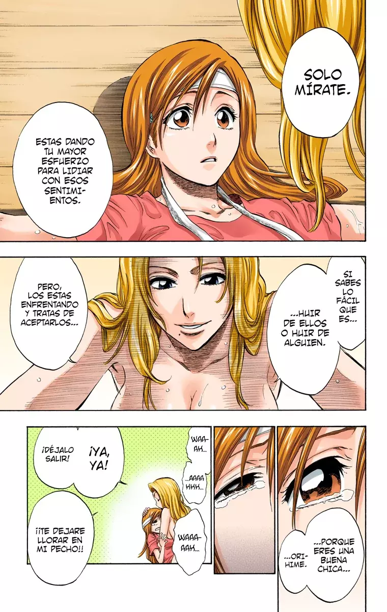 Read Bleach Full Color ES Manga Online