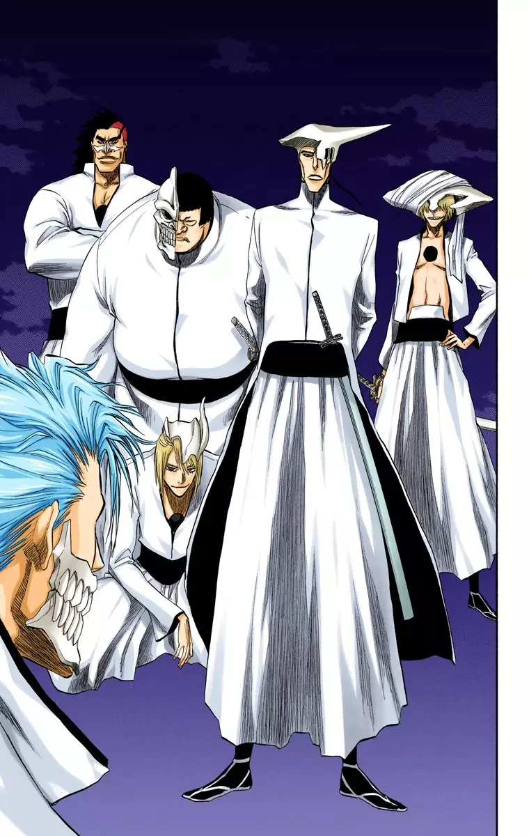 Read Bleach Full Color ES Manga Online