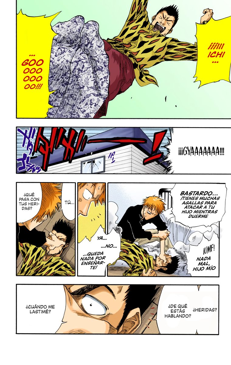 Read Bleach Full Color ES Manga Online