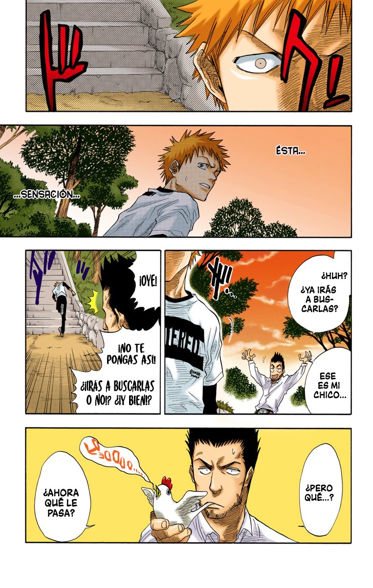 Read Bleach Full Color ES Manga Online