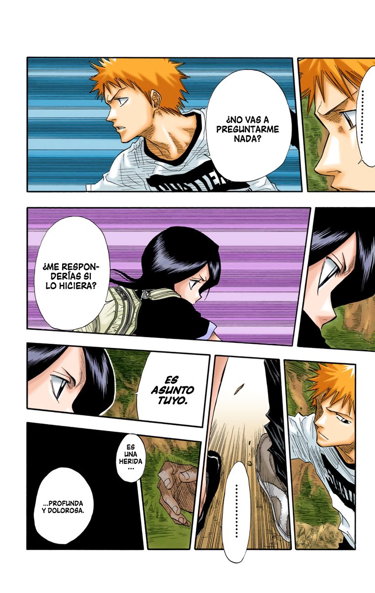 Read Bleach Full Color ES Manga Online