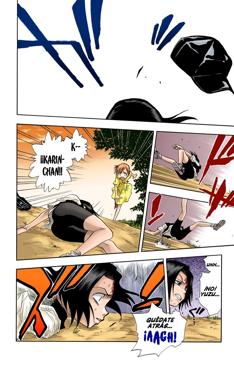 Read Bleach Full Color ES Manga Online