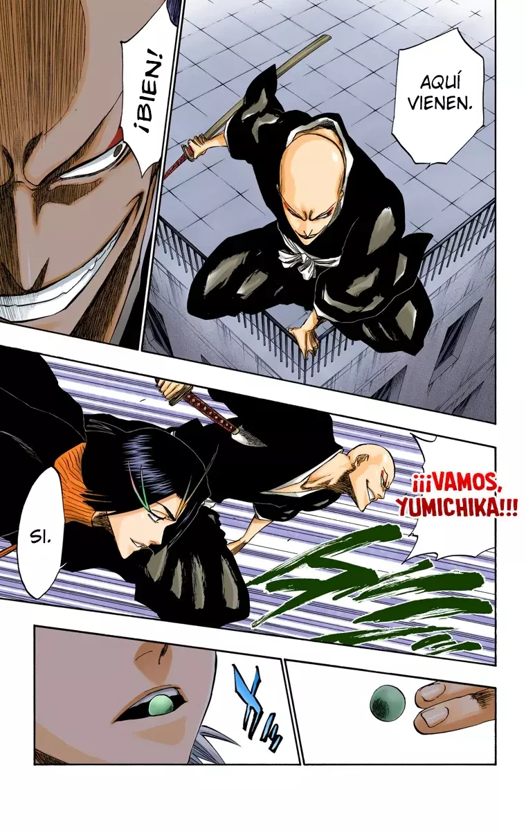 Read Bleach Full Color ES Manga Online