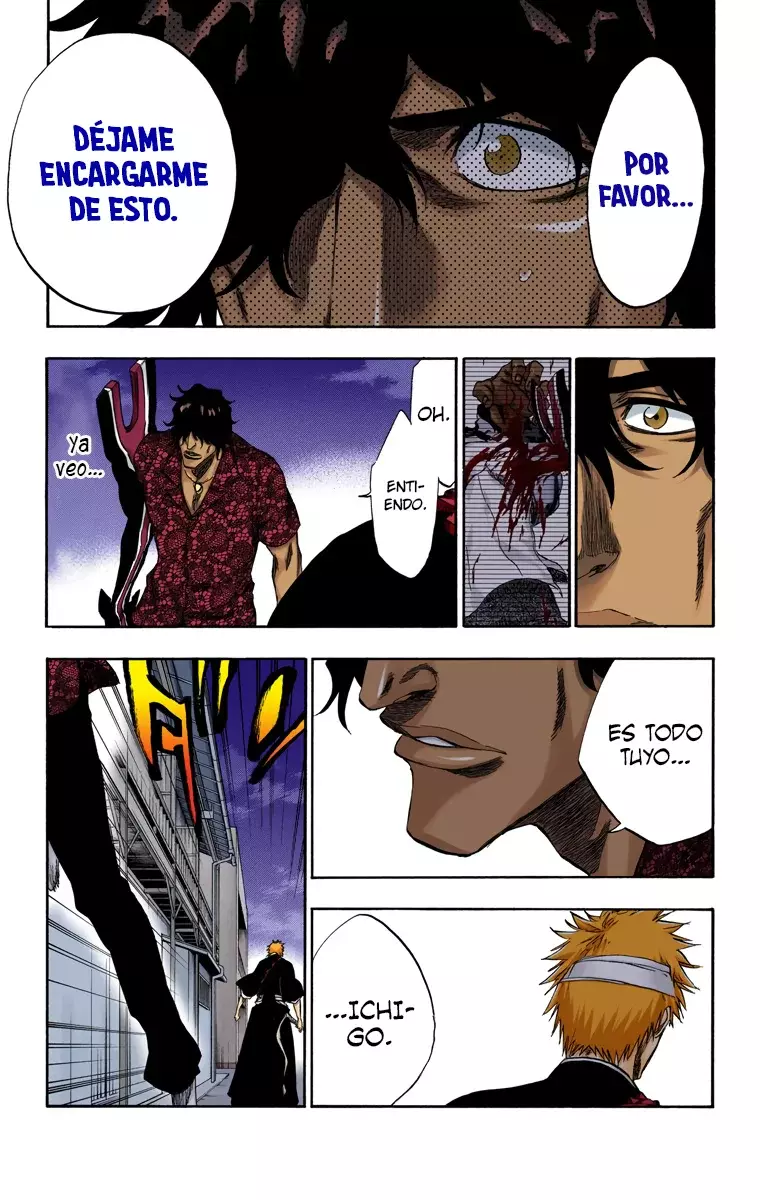Read Bleach Full Color ES Manga Online