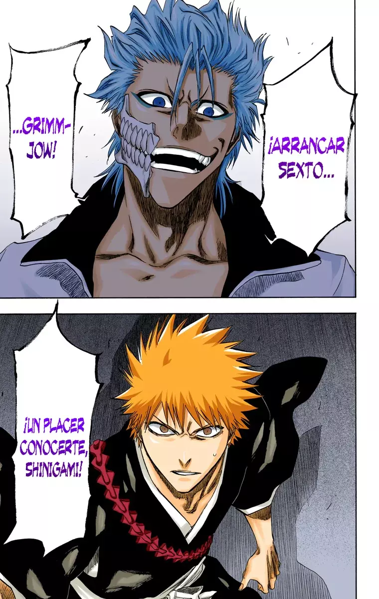 Read Bleach Full Color ES Manga Online