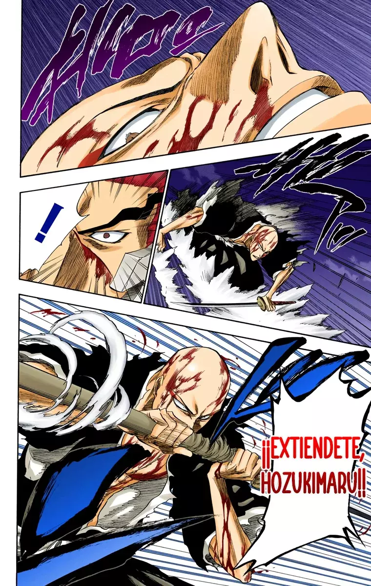 Read Bleach Full Color ES Manga Online
