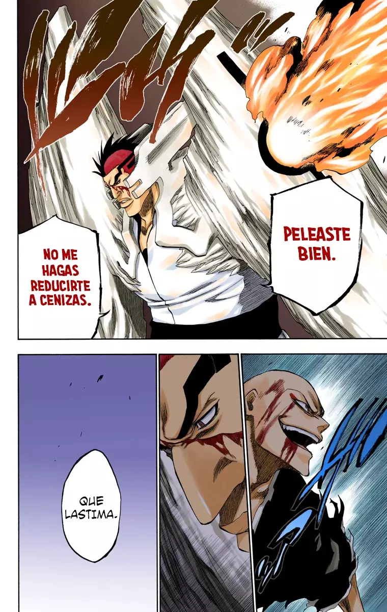 Read Bleach Full Color ES Manga Online
