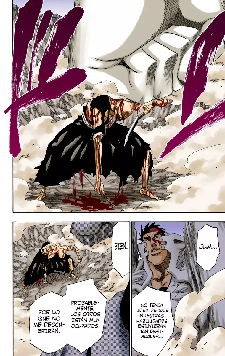 Read Bleach Full Color ES Manga Online