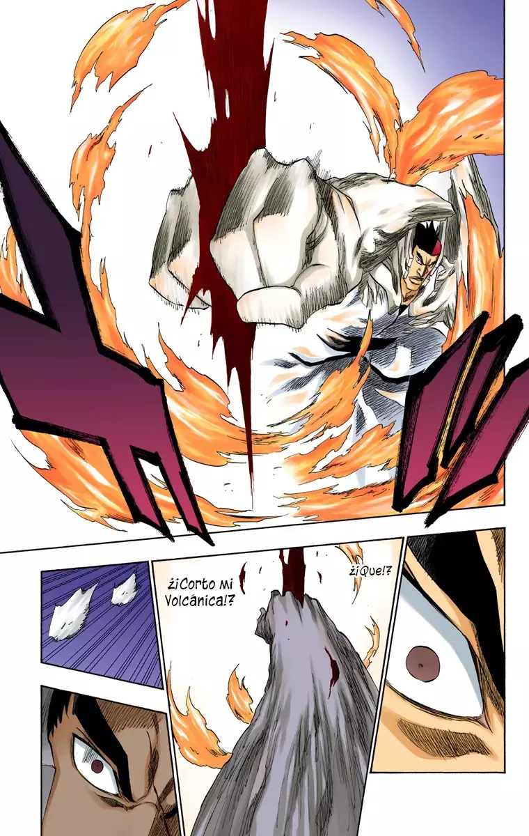 Read Bleach Full Color ES Manga Online
