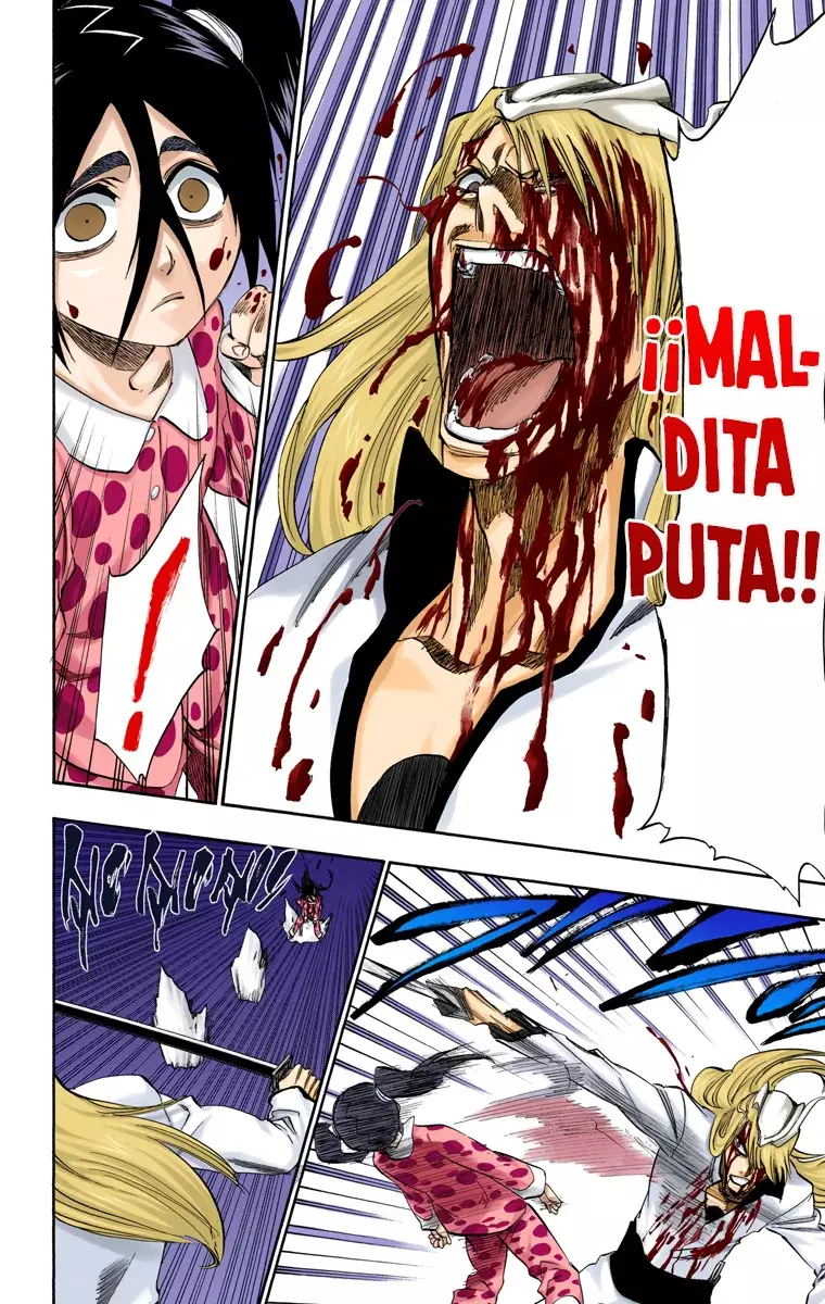 Read Bleach Full Color ES Manga Online