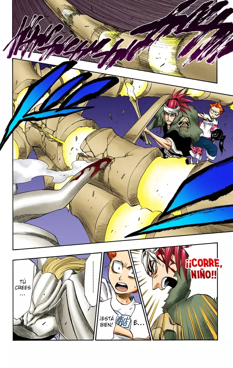 Read Bleach Full Color ES Manga Online
