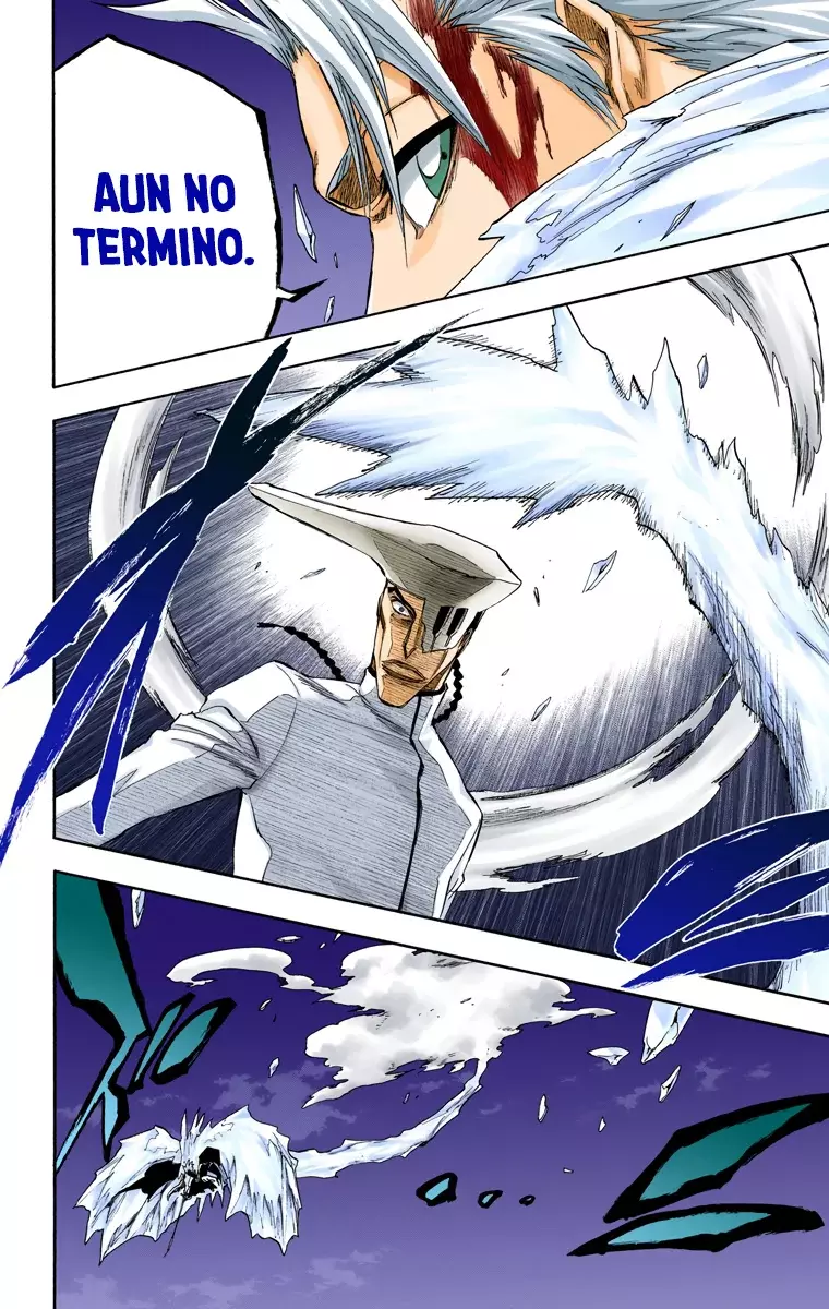 Read Bleach Full Color ES Manga Online