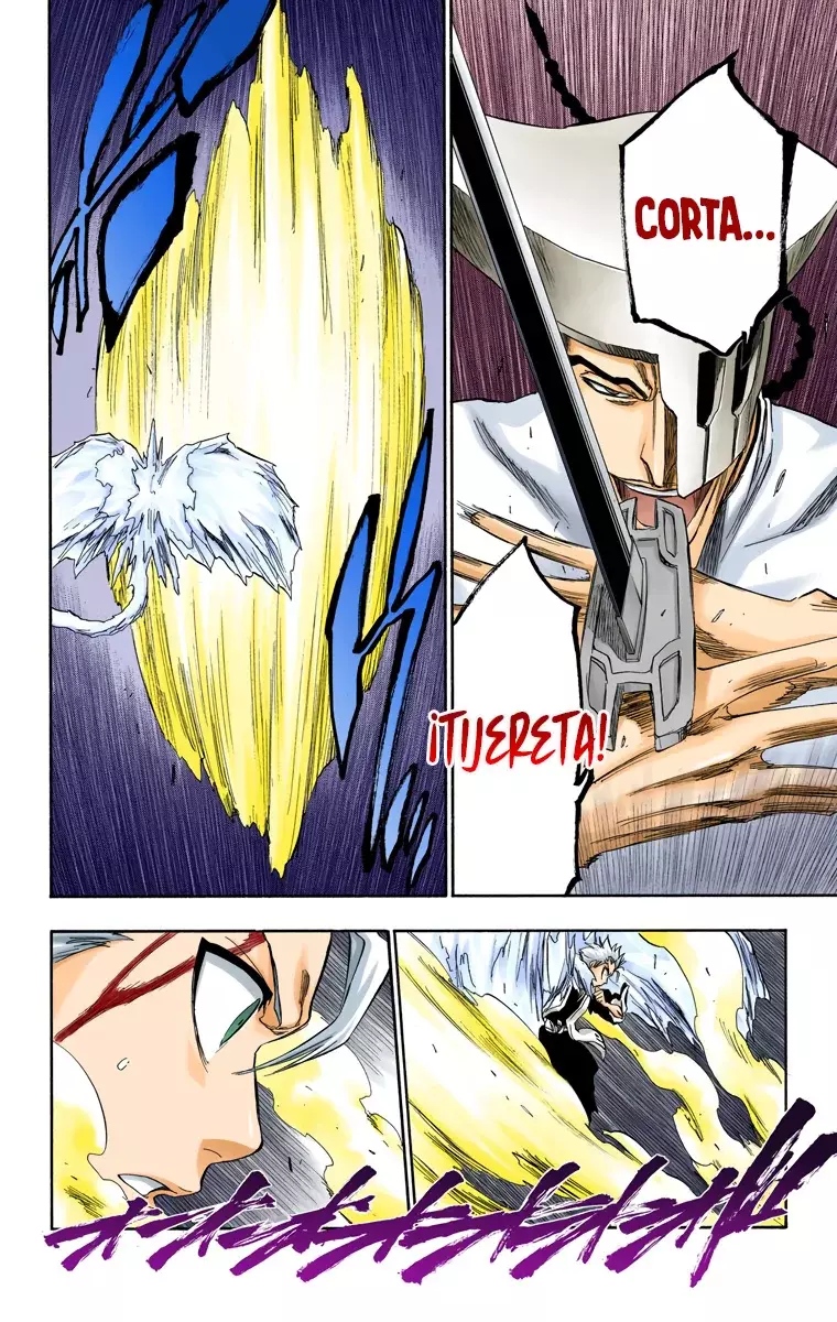 Read Bleach Full Color ES Manga Online