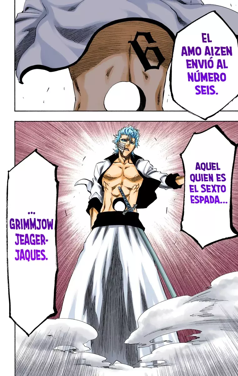 Read Bleach Full Color ES Manga Online