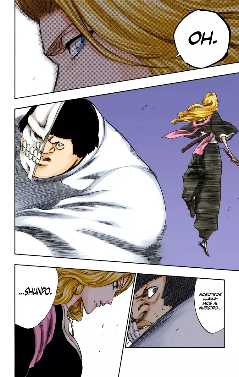 Read Bleach Full Color ES Manga Online