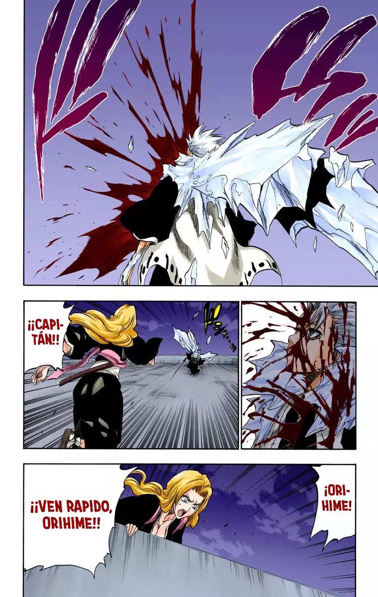 Read Bleach Full Color ES Manga Online