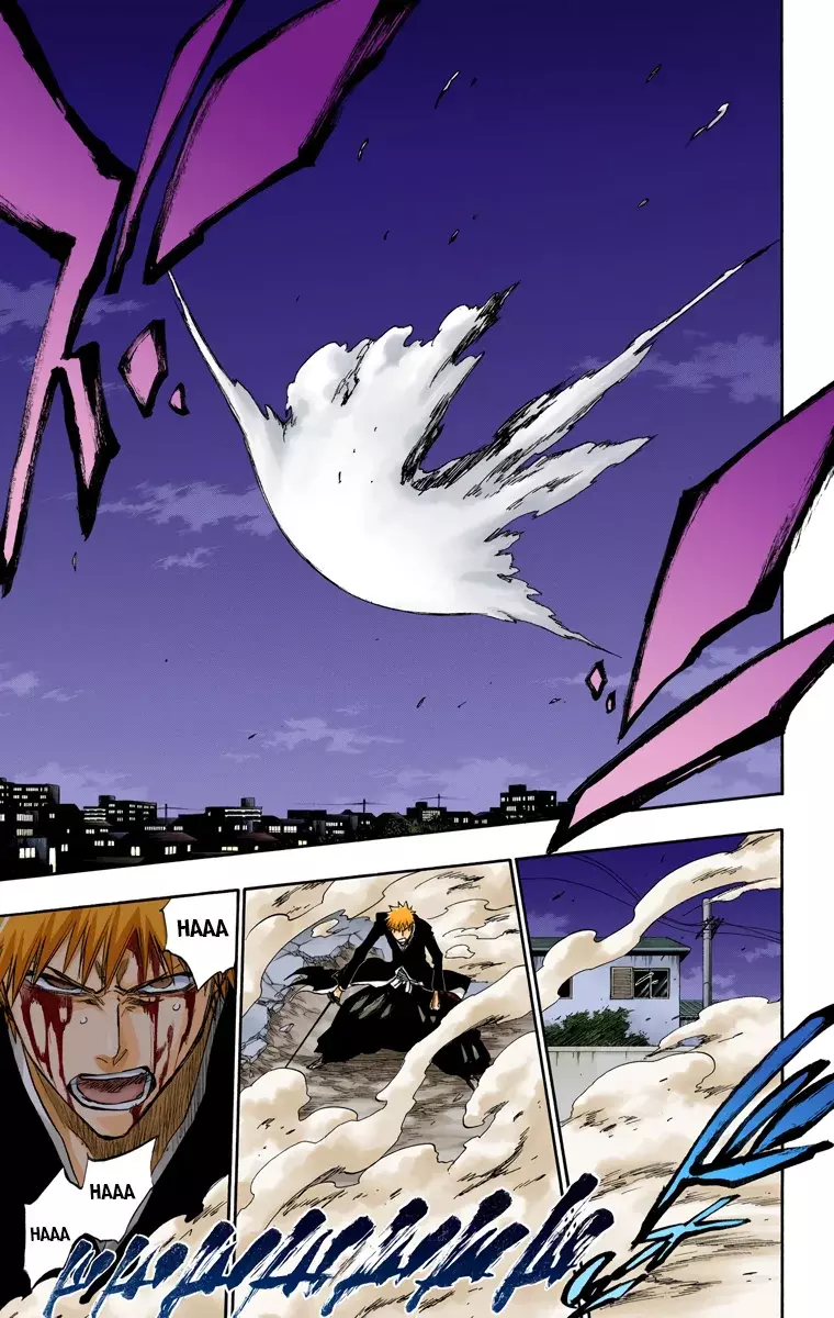 Read Bleach Full Color ES Manga Online