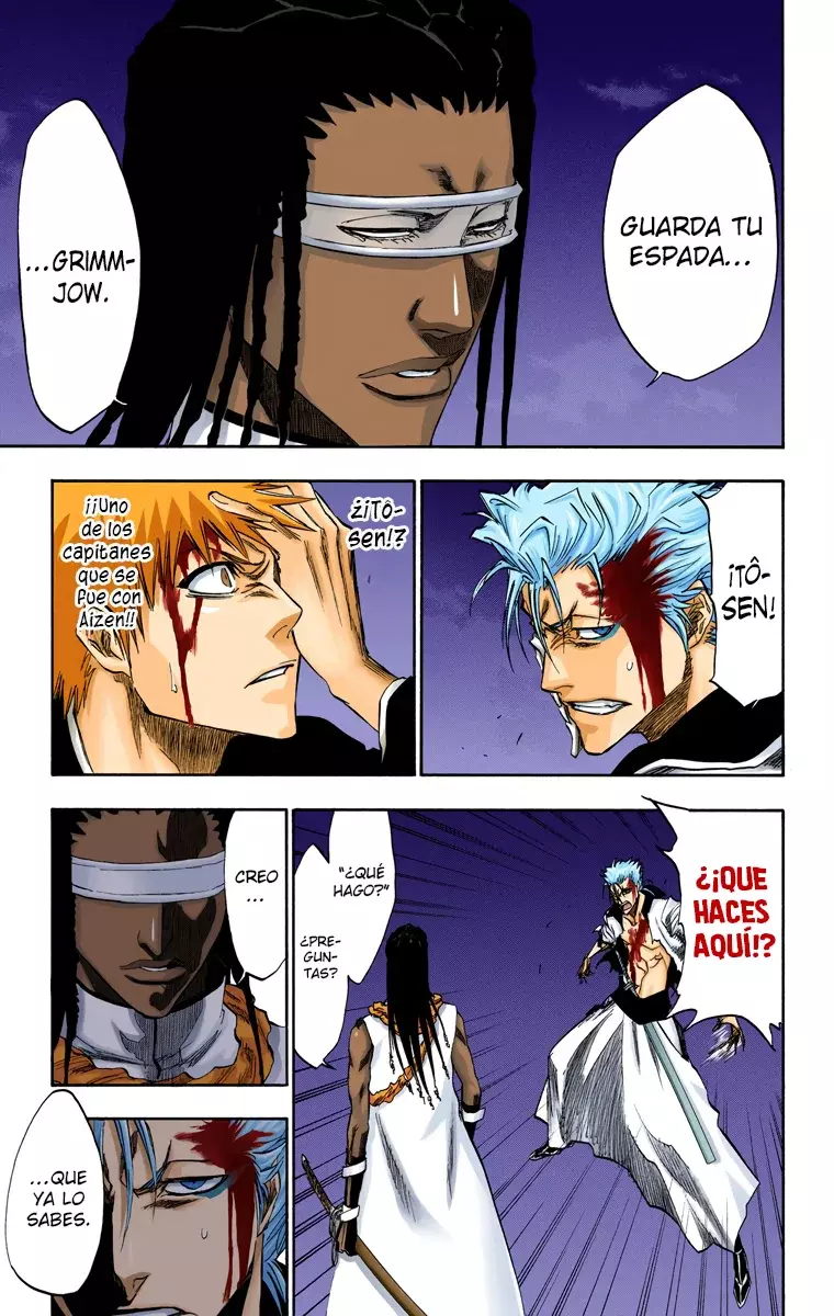 Read Bleach Full Color ES Manga Online