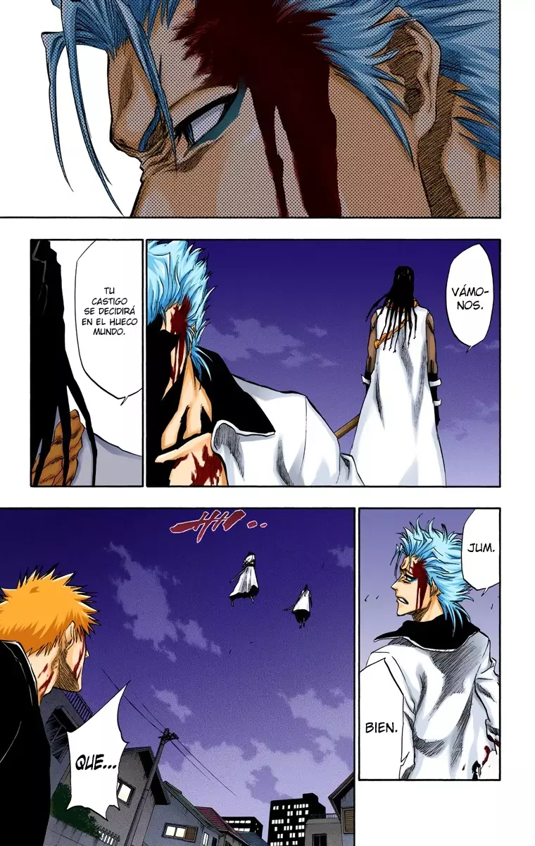 Read Bleach Full Color ES Manga Online