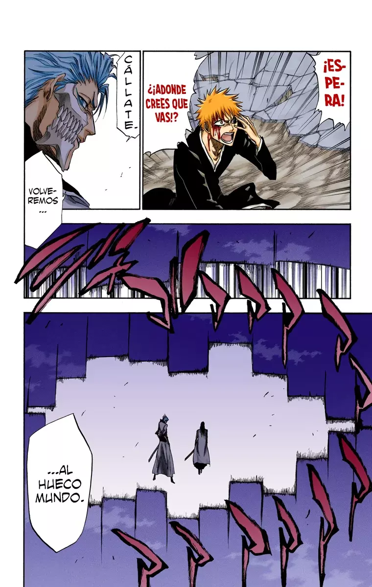 Read Bleach Full Color ES Manga Online