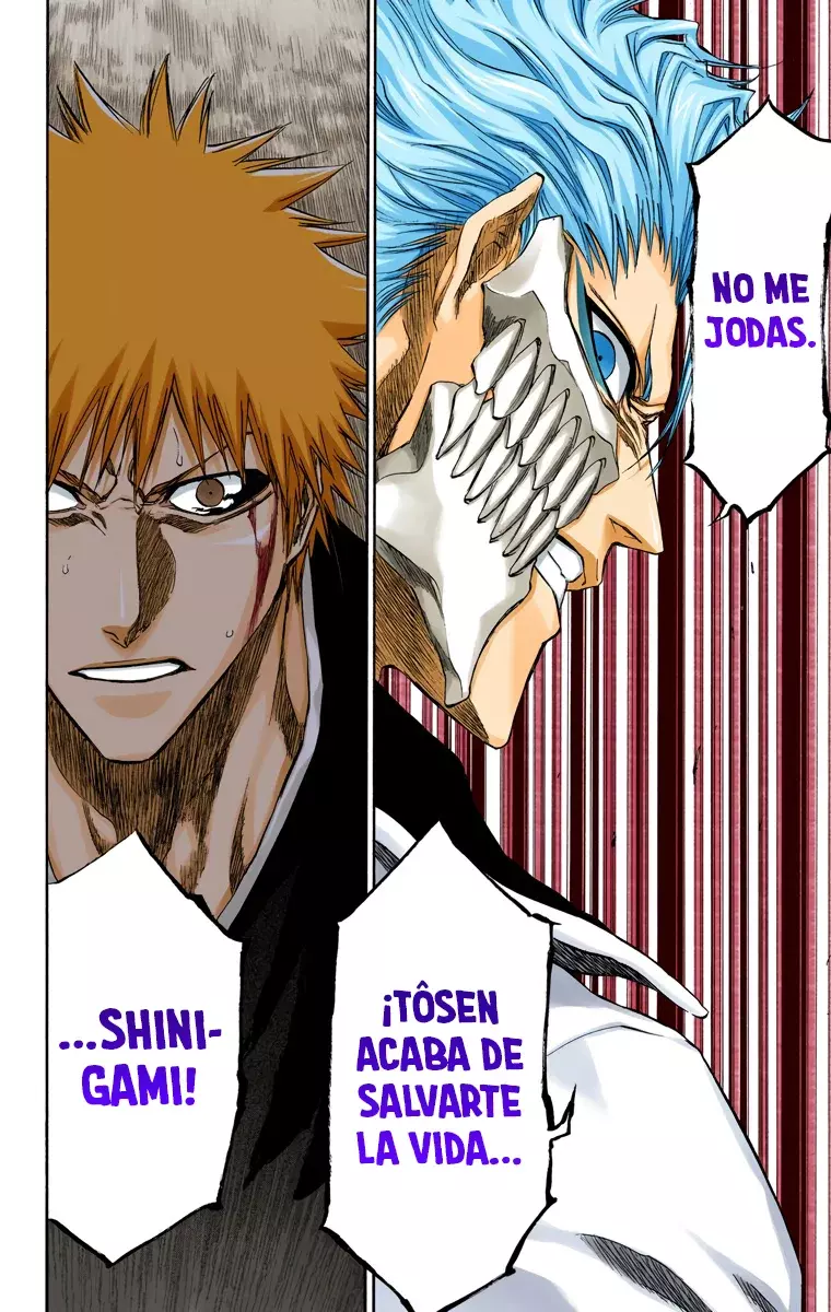 Read Bleach Full Color ES Manga Online