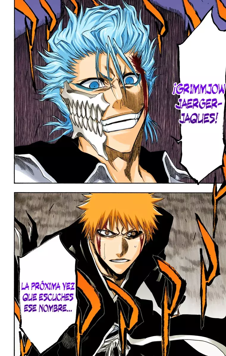 Read Bleach Full Color ES Manga Online