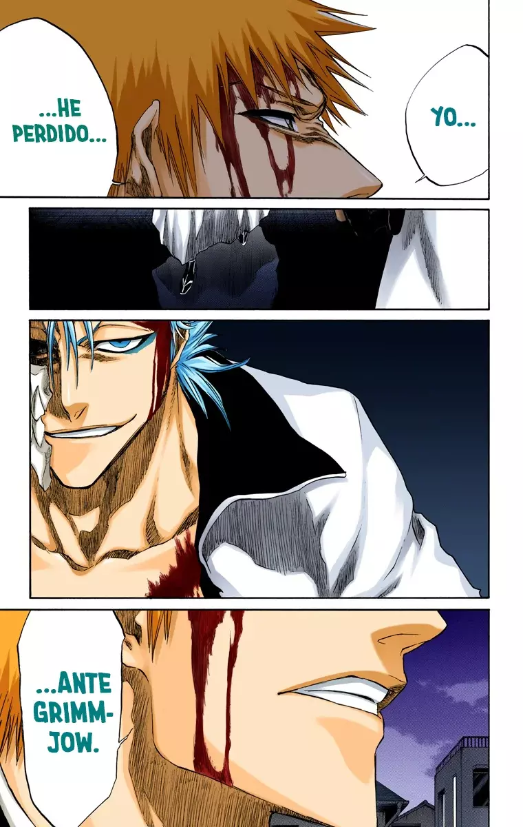 Read Bleach Full Color ES Manga Online