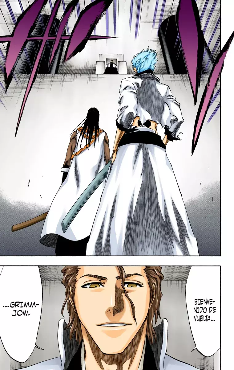 Read Bleach Full Color ES Manga Online
