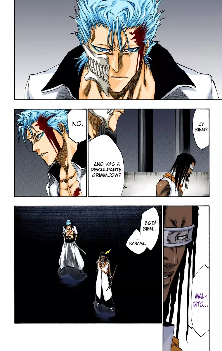 Read Bleach Full Color ES Manga Online