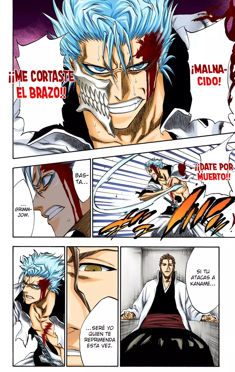 Read Bleach Full Color ES Manga Online