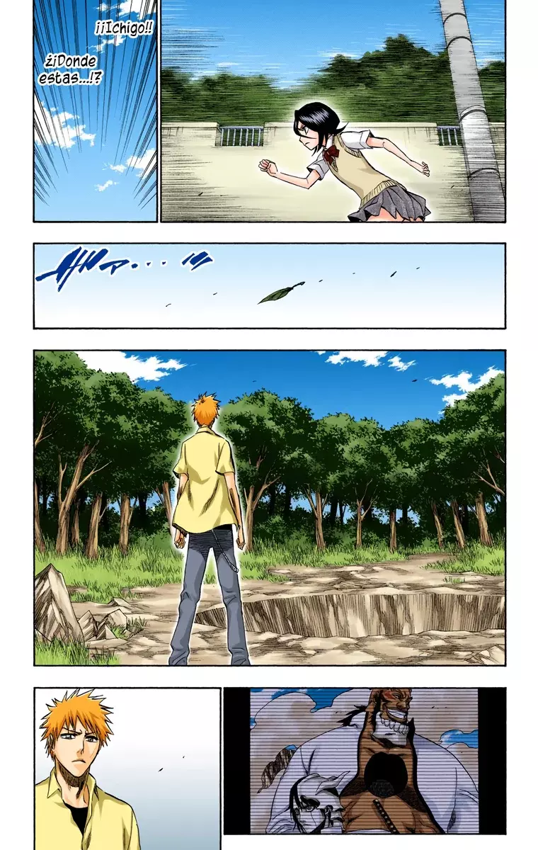 Read Bleach Full Color ES Manga Online