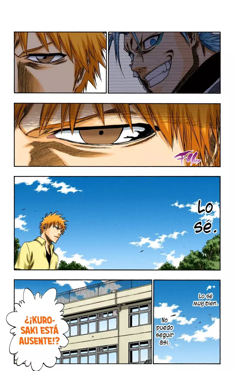 Read Bleach Full Color ES Manga Online